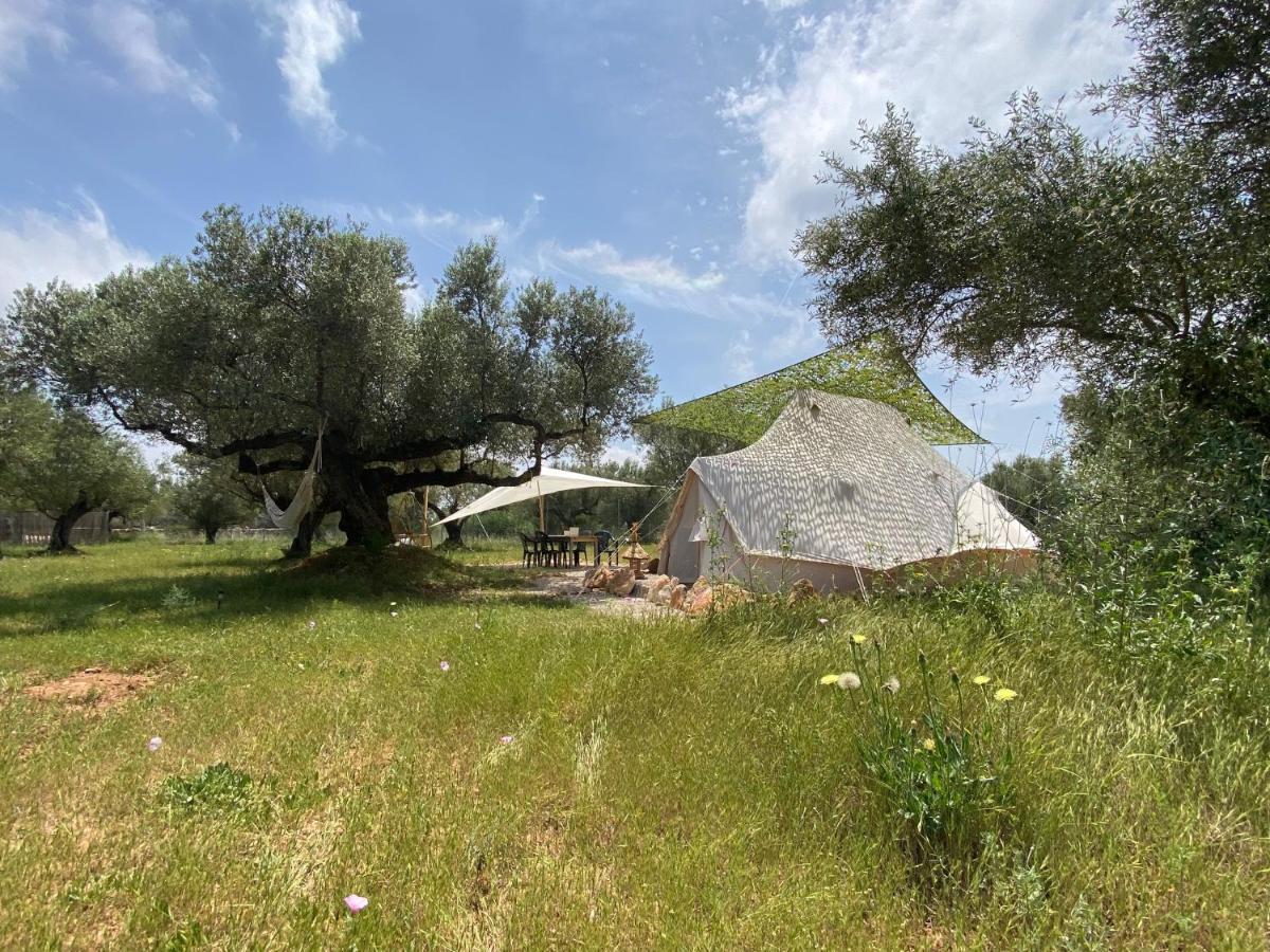 Paraiso Bell Tent Tortosa Ngoại thất bức ảnh